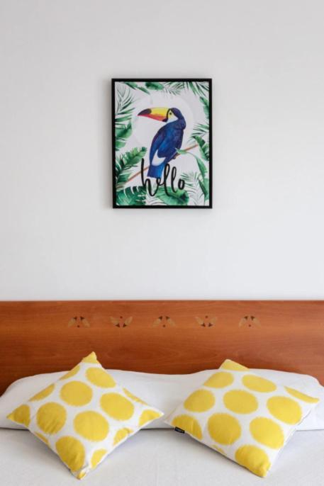 Homestay Blife Vitorya Private Faro